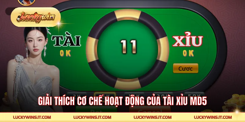 Giải thích cơ chế hoạt động của tài xỉu MD5